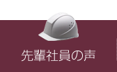 先輩社員の声